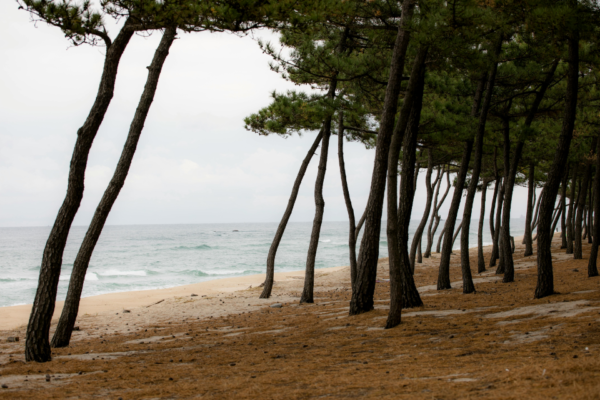 Sardinia: San Teodoro Club Village
