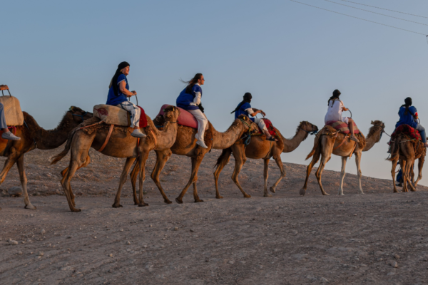 Weekend In Marrakech – Itinerary Code: BA3MAG2910: 5 Days / 4 Nights