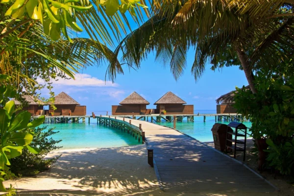 Maldives Low Cost – Honeymoon Travel Code: BA3MV016