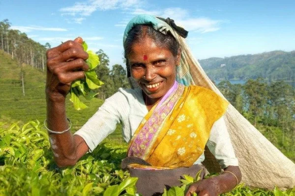 Sri Lanka 5-Star Honeymoon Package – Travel Code: BA3LKS730