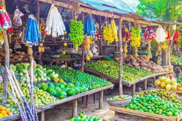 Sri Lanka 5-Star Honeymoon Package – Travel Code: BA3LKS730
